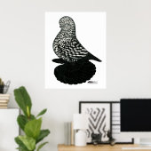 Splash Muffed Tumbler Pigeon 2 Poster (Thuiskantoor)