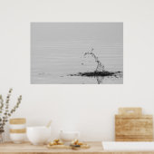 Splash Poster (Keuken)