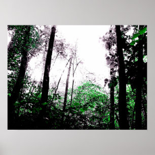 Splashes van de Groene Poster