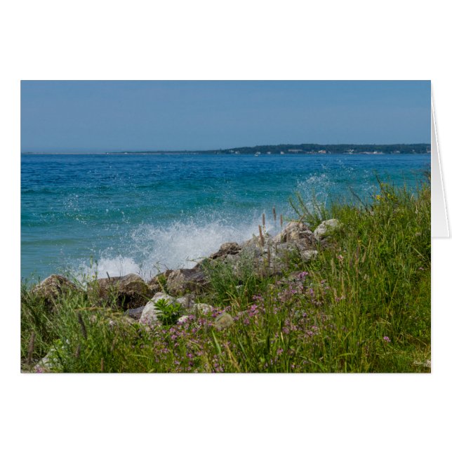 Splashing op de makreel (Voorkant Horizontaal)