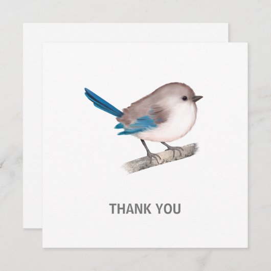 Splendid Fairy Wren Bird on Branch Bedankkaart (Voorkant / Achterkant)