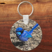 Splendid Fairy Wren Sleutelhanger (Voorkant)