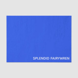 Splendid Fairywren Blue Color Name Tissuepapier