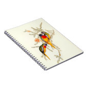 Splendid Grass-Paraket,  Notitieboek (Rechterzijde)