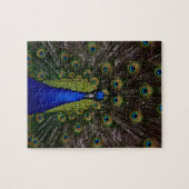 Splendid Peacock Legpuzzel (Horizontaal)