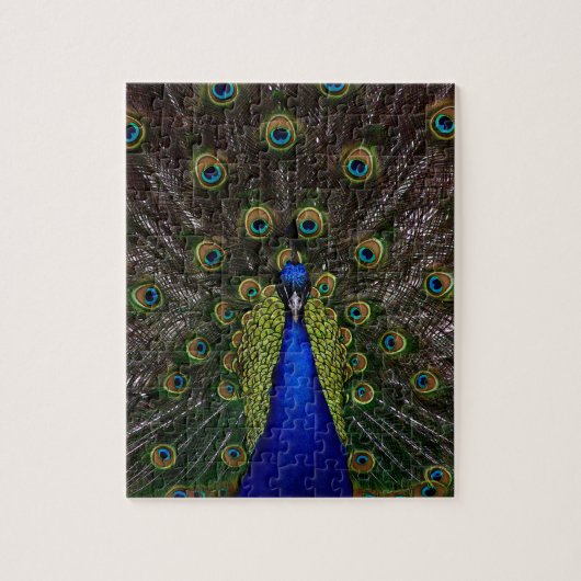 Splendid Peacock Legpuzzel (Verticaal)