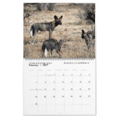 Splendid Wild Creatures - calendrier kenyan (deux  (Feb 2027)