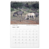 SPLENDID WILDE CREATURES - KENYA-kalender (Single Kalender (Mar 2027)
