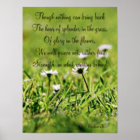 Splendor In The Grass poster