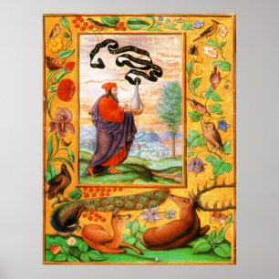 Splendor Solis: Filosoof met kolf Poster