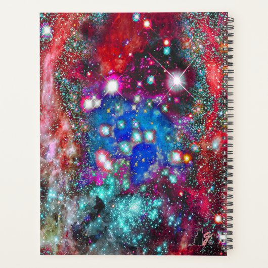 Splendorous Star Field Planner (Achterkant)