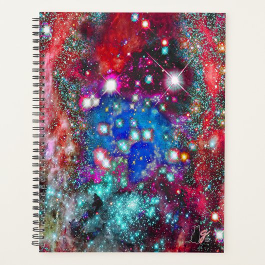 Splendorous Star Field Planner (Voorkant)