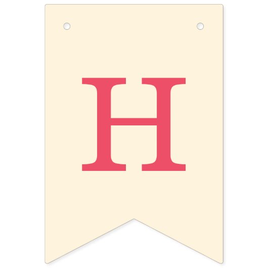 Splish Splash Pool Party Bash Verjaardag Vlaggetjes (Tweede vlag)