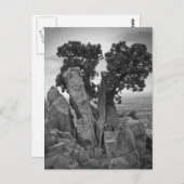 Splitsen Briefkaart (Voorkant / Achterkant)