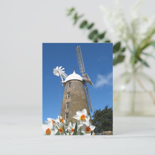 spoeldieren en windmolens briefkaart (Staand voorkant)