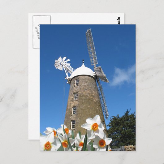 spoeldieren en windmolens briefkaart (Voorkant / Achterkant)