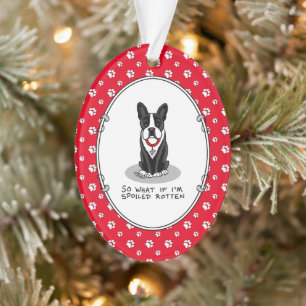 Spoiled Rotten Boston Terrier (zwarte hond) Ornament