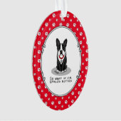 Spoiled Rotten Boston Terrier (zwarte hond) Ornament (voorkant)