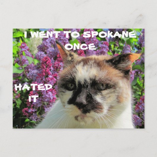 Spokane? Hate it Briefkaart (Voorkant)