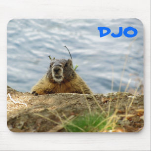 Spokane Marmot says, "Sup? Got heeft een rotzooi?" Muismat