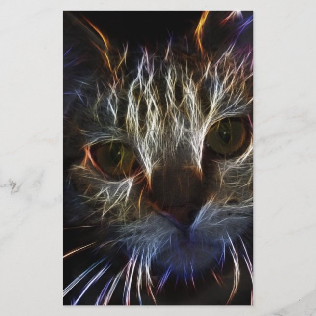 Spokende kattengezichtskunst, gemaakt van licht -  (Voorkant)