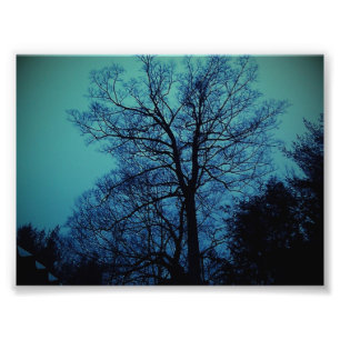 Spook Tree afdrukken Foto Afdruk