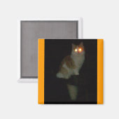 spookachtig kat magneet (Voorkant / Achterkant)