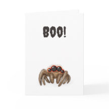 Spookachtige spin 'Boe!' Halloweenkaart