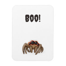 Spookachtige spin 'Boe!' Halloweenmagneet Magneet