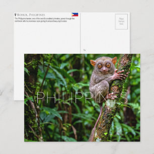 Spookdier in Bohol, Filipijnen Reisansichtkaart Briefkaart