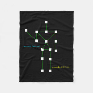 Spookjacht SLS anomalie gedetecteerd grappig paran Fleece Deken