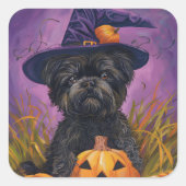 Spooky Affenpinscher Halloween Heks en Pompoen Vierkante Sticker (Voorkant)