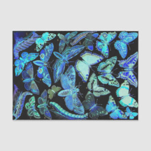 Spooky Black Blue Butterfly en Moth Tissue Paper Tissuepapier