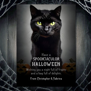 Spooky Black Cat Halloween Groet Feestdagenkaart