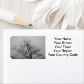 Spooky Etiket (Insitu)