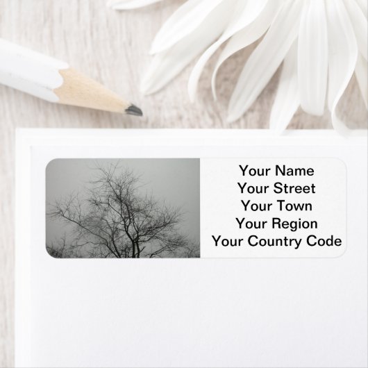 Spooky Etiket (Insitu)