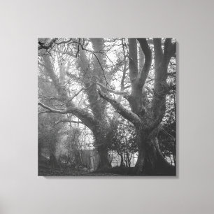 Spooky Forest Black en White Photography Canvas Afdruk