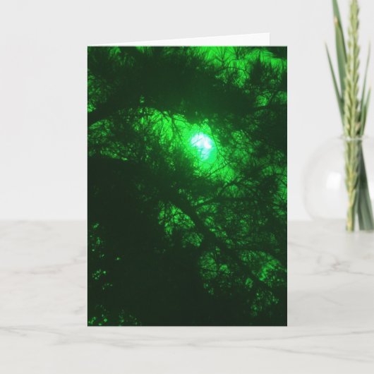 Spooky Forest Kaart (Voorkant)