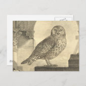 Spooky  Halloween Owl Briefkaart (Voorkant / Achterkant)