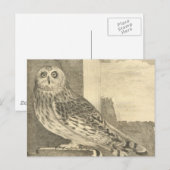 Spooky Halloween Owl Briefkaart (Voorkant / Achterkant)