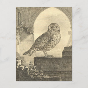 Spooky  Halloween Owl Briefkaarten
