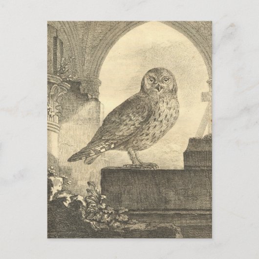 Spooky Halloween Owl Briefkaarten (Voorkant)