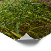 Spooky Hay Bale Poster (Hoek)
