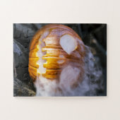 Spooky Jack-o-lantern Legpuzzel (Horizontaal)