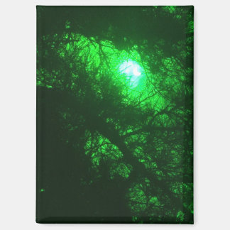 Spooky Midnight Forest Magneet