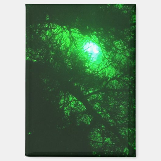 Spooky Midnight Forest Magneet (Voorkant)