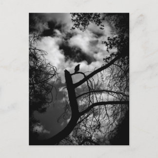 Spooky Raven in Tree Briefkaart