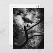 Spooky Raven in Tree Briefkaart (Voorkant / Achterkant)