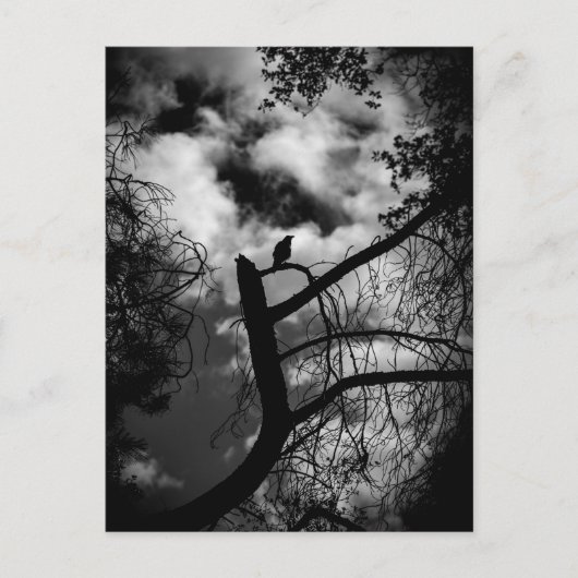 Spooky Raven in Tree Briefkaart (Voorkant)