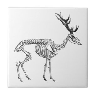 Spooky skelet rendiertekening tegeltje
